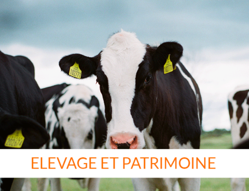 ELEVAGE ET PATRIMOINE